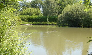 Photo N° 3