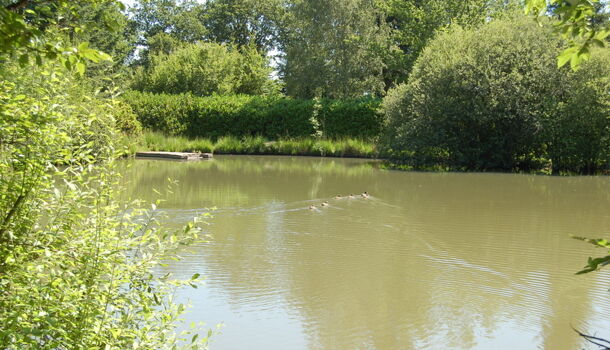 Villa / Maison 9 pièces  à vendre Autun 71400
