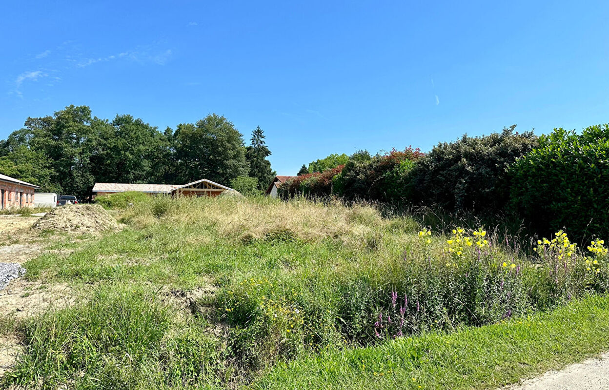 terrain  pièces 740 m2 à vendre à Saint-Lon-les-Mines (40300)