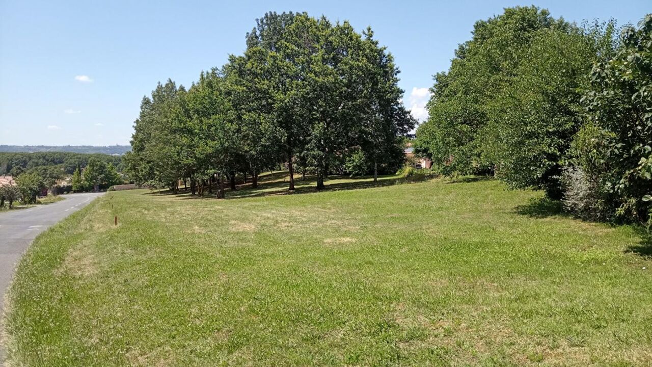 terrain  pièces 1200 m2 à vendre à Albi (81000)