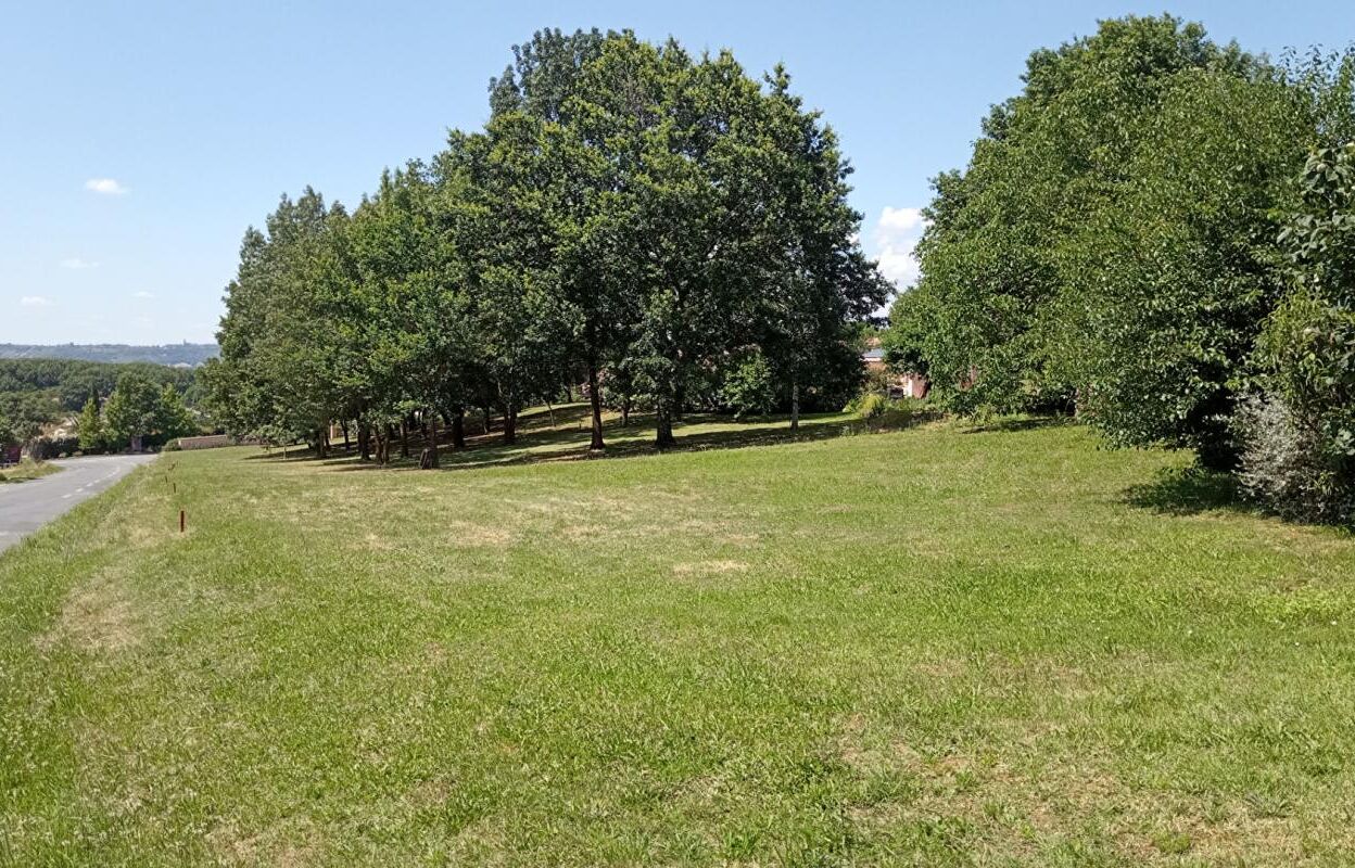 terrain  pièces 1200 m2 à vendre à Albi (81000)