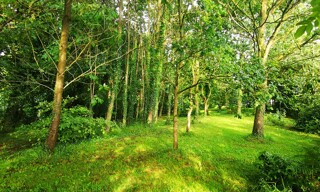 Photo N° 3