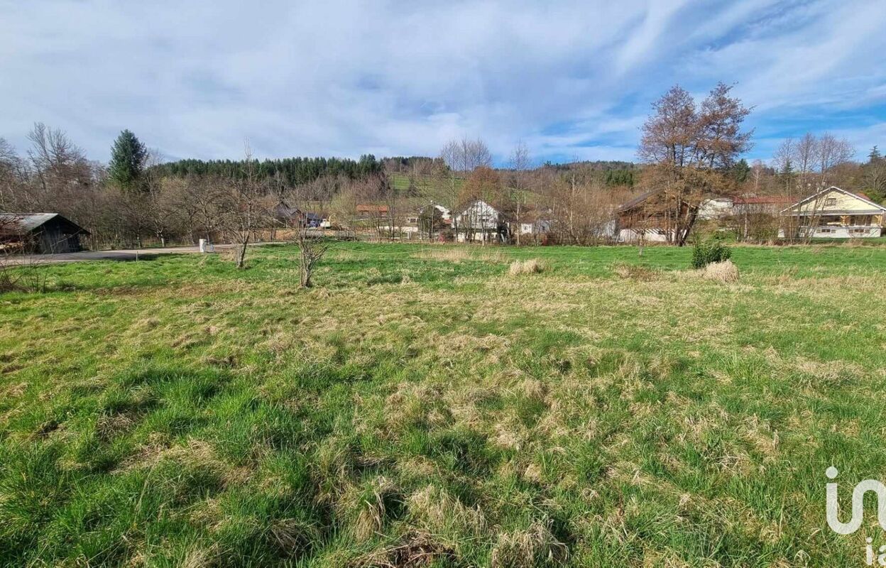 terrain  pièces 1129 m2 à vendre à Mandray (88650)