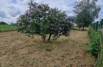 vente terrain 25 000 € à proximité de Marsonnas (01340)