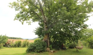 Photo N° 5