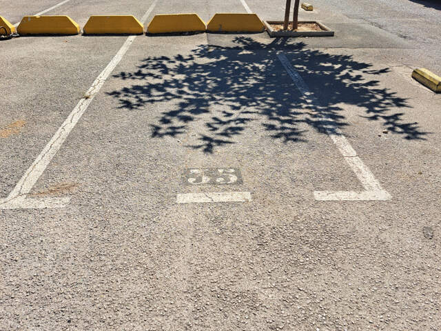 Place de parking résidence fermé — photo du bien