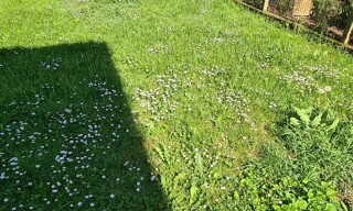 Photo N° 4