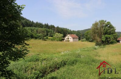 vente maison 119 000 € à proximité de Granges-Aumontzey (88640)