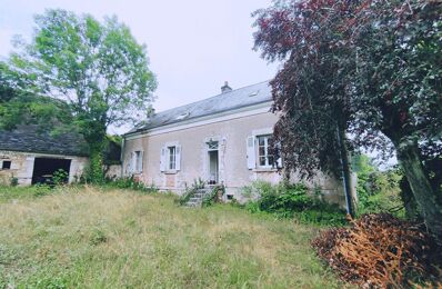 vente maison 69 900 € à proximité de Tournon-Saint-Martin (36220)