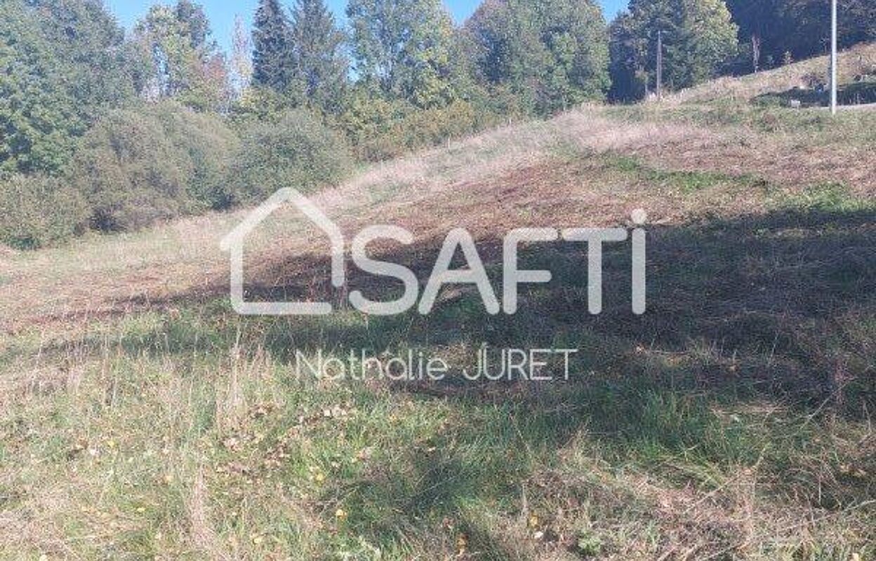 terrain  pièces 2250 m2 à vendre à Morbier (39400)