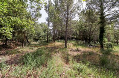 terrain  pièces 1000 m2 à vendre à Flayosc (83780)