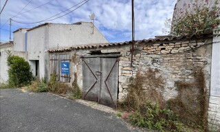 Photo N° 5