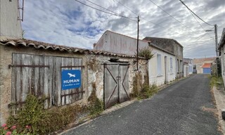 Photo N° 6