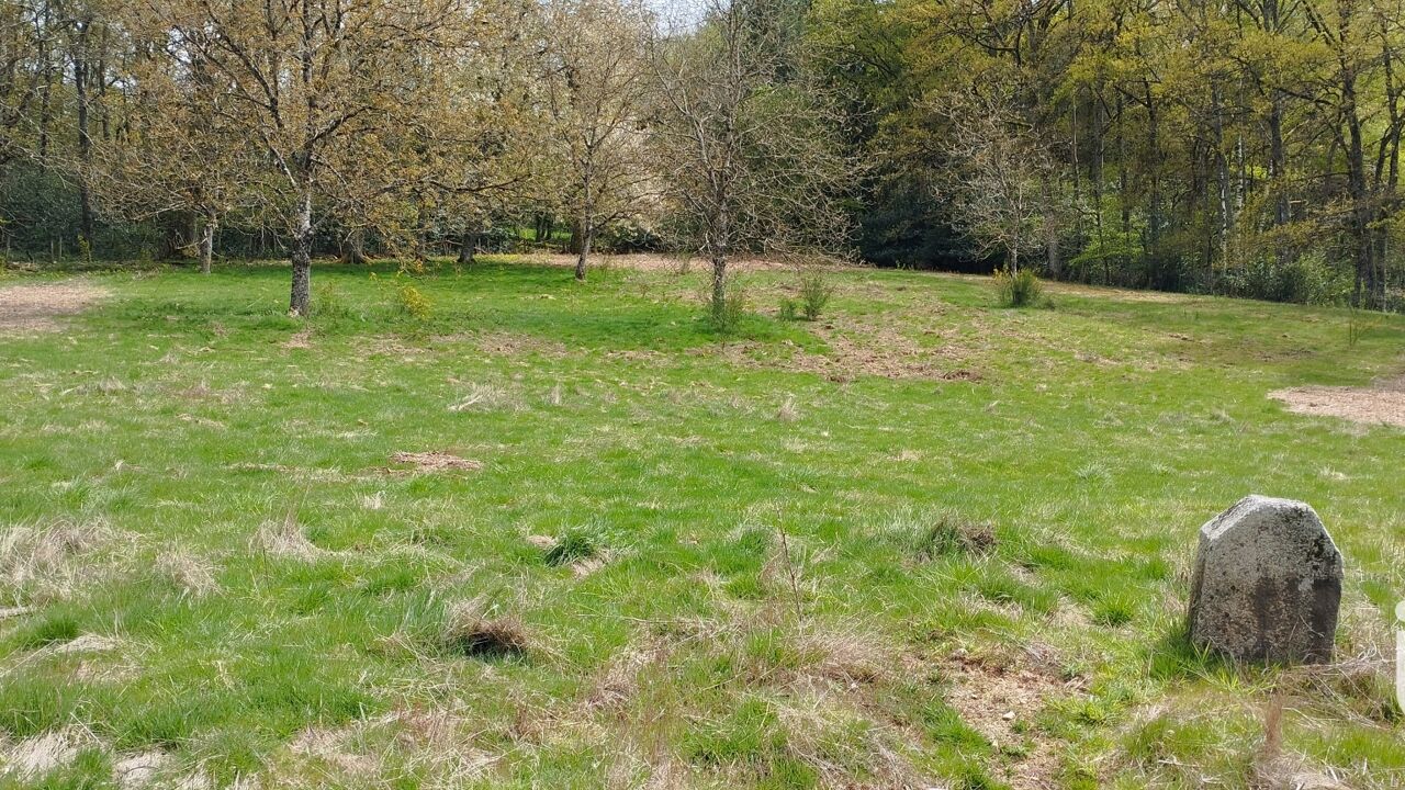 terrain  pièces 10250 m2 à vendre à Cayrols (15290)