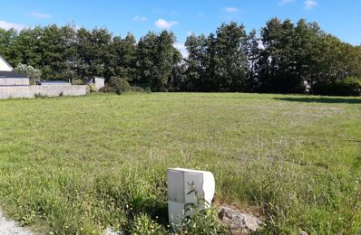 vente terrain 43 600 € à proximité de Guiler-sur-Goyen (29710)