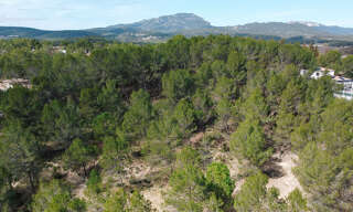 Local industriel  610 m² à vendre à Le Triadou (34270)