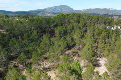 Local industriel  259000 €