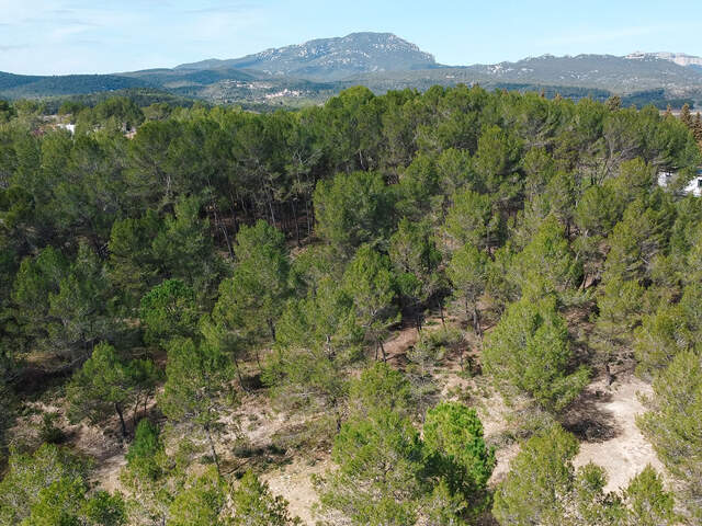 Terrain - 610 — photo du bien