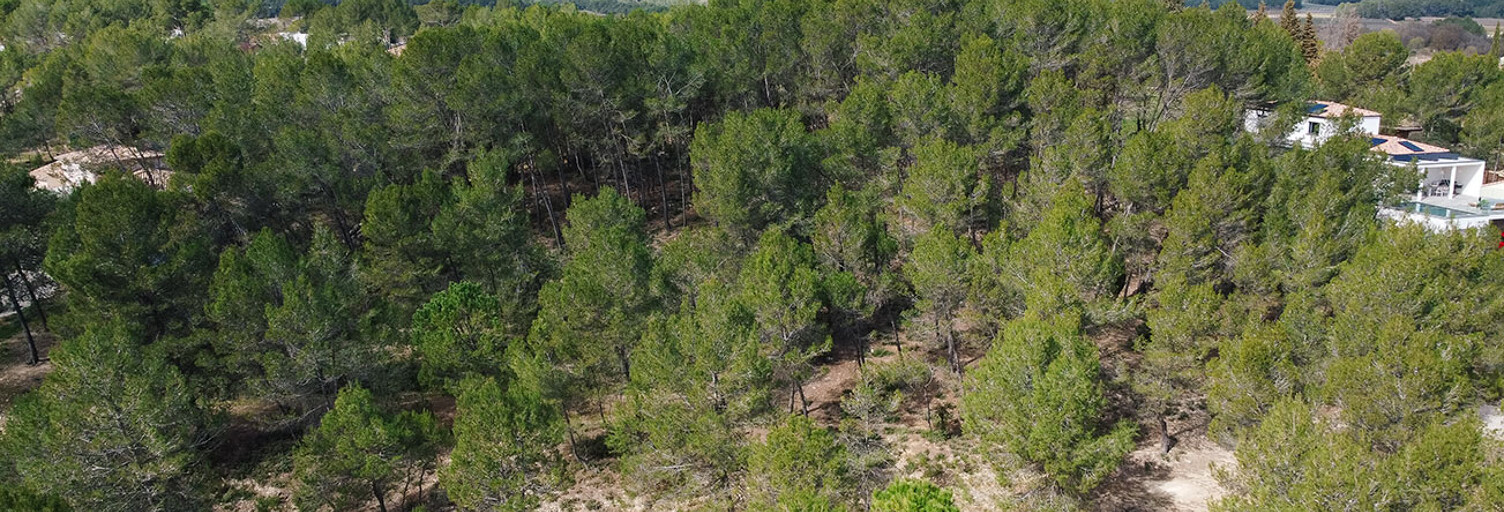 Local industriel  610 m² à vendre à Le Triadou (34270)