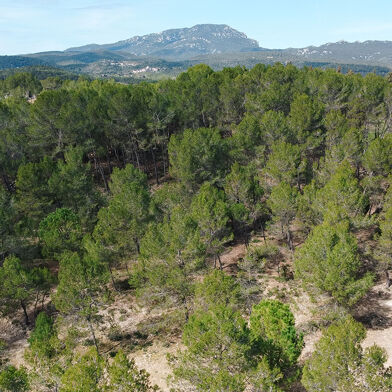 Local industriel  259000 €