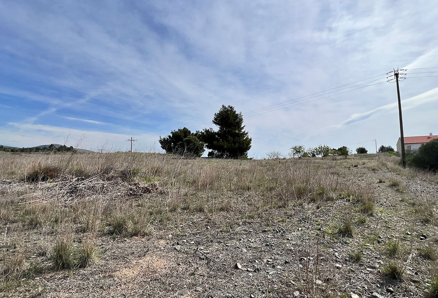 Terrain - 573 — photo 1