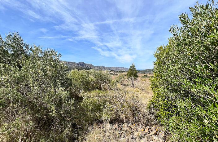 Terrain - 288 — photo 2