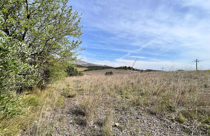 Terrain - 625 — photo 3
