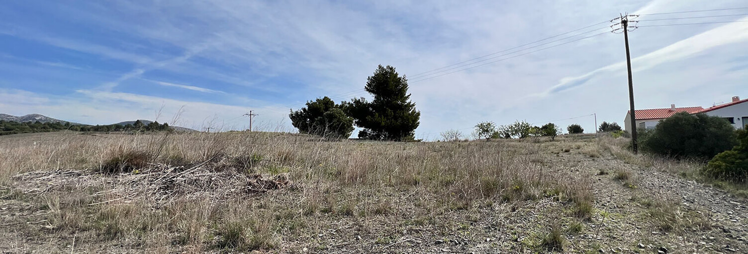 Local industriel  553 m² à vendre à Cases-de-Pène (66600)