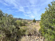 Terrain - 553 — photo 2