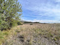 Terrain - 553 — photo 3