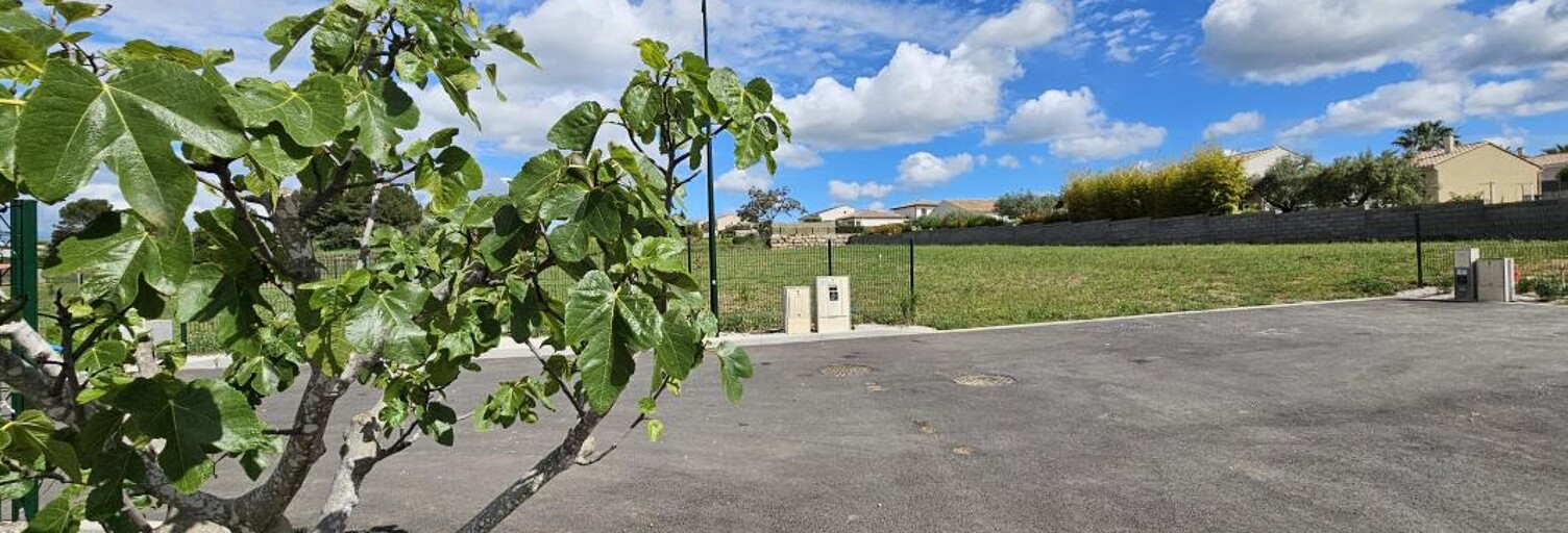 Local industriel  1541 m² à vendre à Roujan (34320)