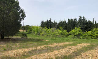 Local industriel  2250 m² à vendre à Perpignan (66000)