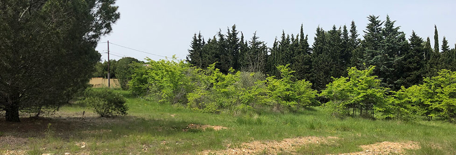 Local industriel  2250 m² à vendre à Perpignan (66000)