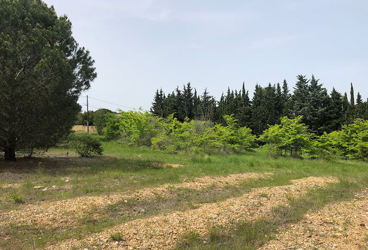 Terrain - 2095 — photo 1