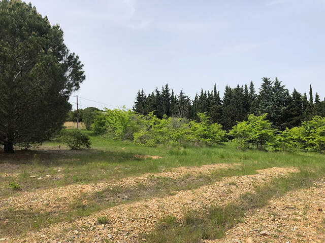 Terrain - 2095 — photo du bien