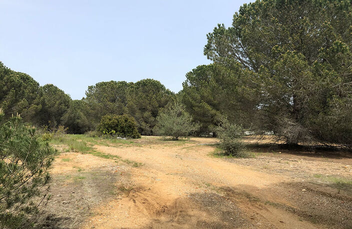 Terrain - 2095 — photo 2
