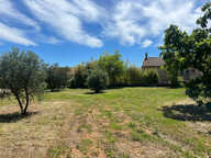 Terrain - 1000 — photo 2