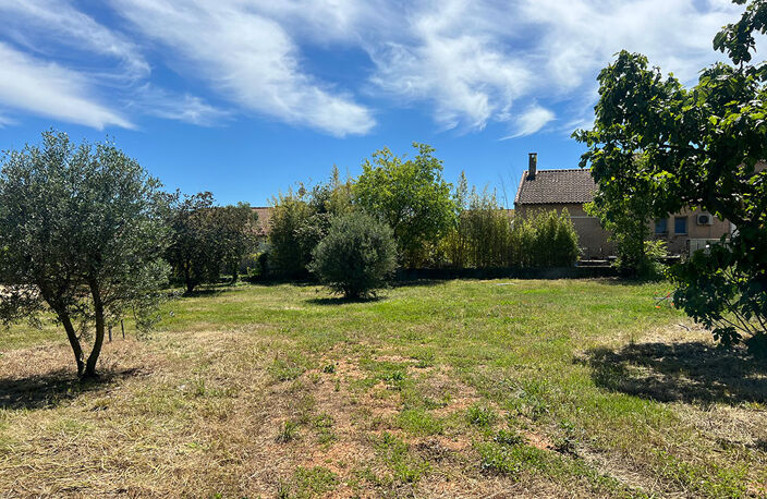 Terrain - 1000 — photo 2