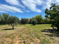 Terrain - 1000 — photo 3