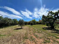 Terrain - 1000 — photo 4