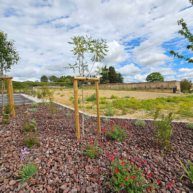 Local industriel  88300 €