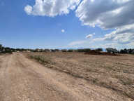 Terrain - 590 — photo 3