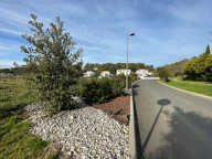 Terrain - 1050 — photo 2
