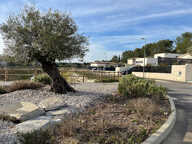 Terrain - 830 — photo 3