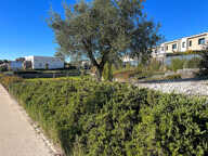 Terrain - 503 — photo 2