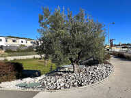 Terrain - 503 — photo 3