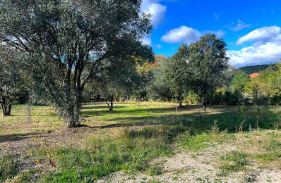Terrain - 900 — photo du bien