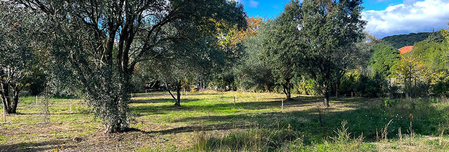 Local industriel  900 m² à vendre à Les Matelles (34270)