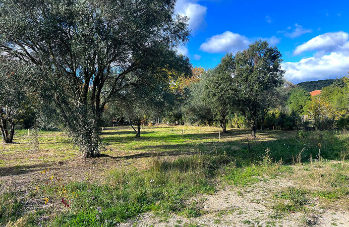 Terrain - 750 — photo 4