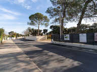 Terrain - 720 — photo 2